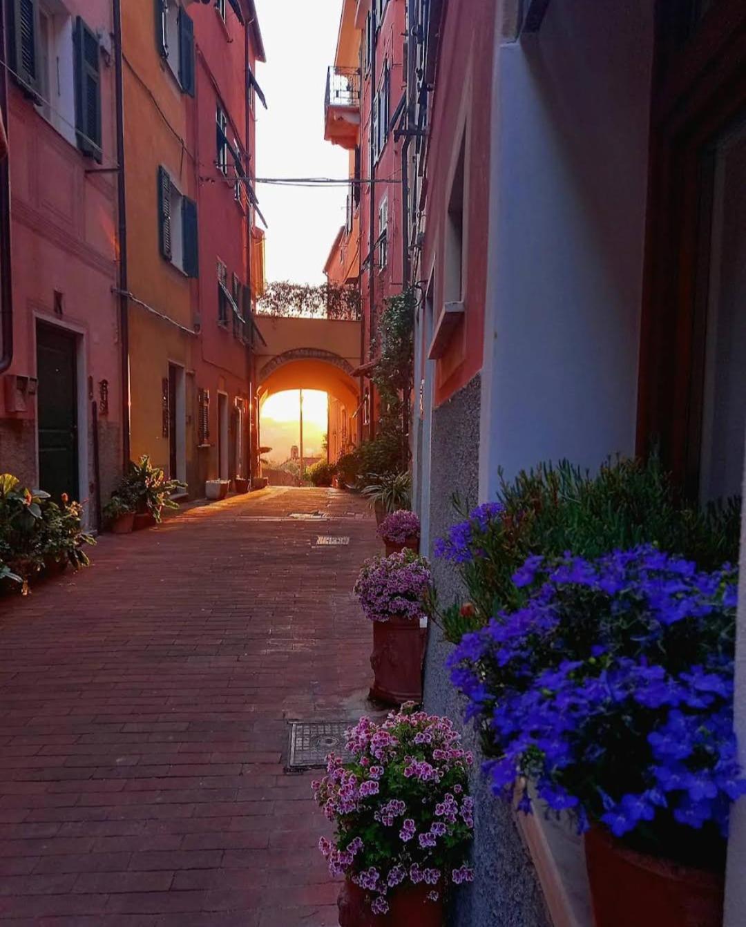Dagli Ulivi Al Mare Apartment Lerici Luaran gambar